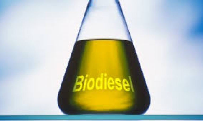 Aprovada resolução do CNPE que autoriza uso de insumo importado para o biodiesel