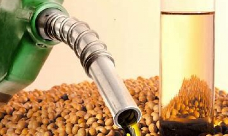 Setor de biodiesel se articula para garantir B20 em lei