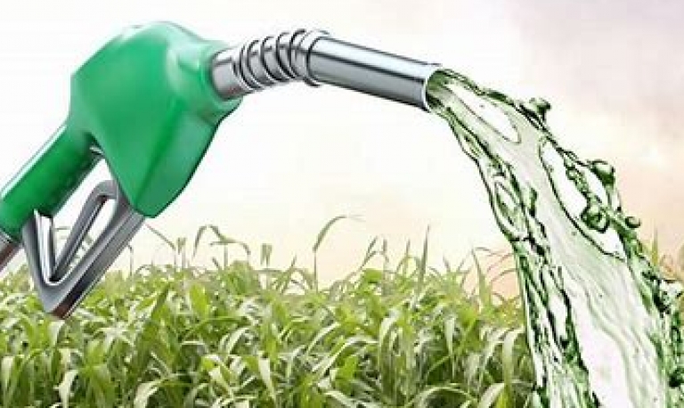 Gasolina é mais competitiva que etanol na semana em todos os Estados