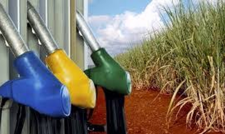 Regras para liberar venda direta de etanol devem ser publicadas na próxima semana, diz ministro