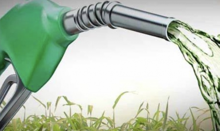 Brasil e Índia articulam futuro da bioenergia com o uso do biocombustível etanol