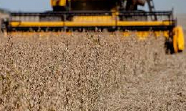Produtores de biodiesel e de óleo de soja divergem sobre importação de matéria-prima