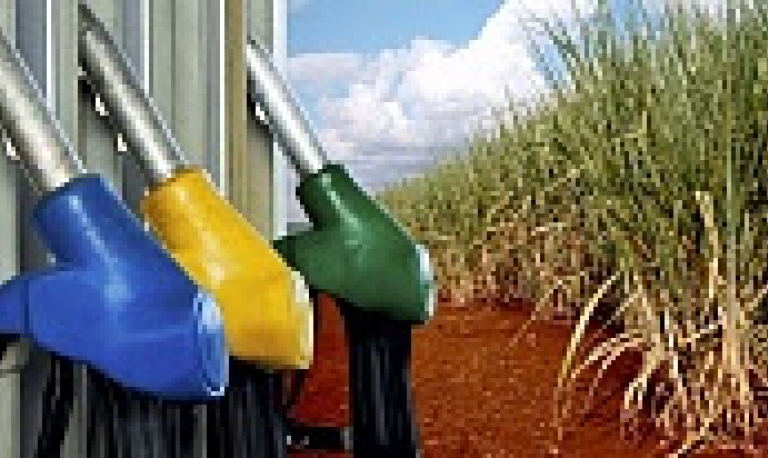 ANP aprova consulta pública sobre possibilidade de venda direta de etanol do produtor ao revendedor