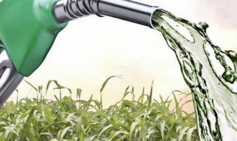 Vendas de etanol recuaram 5% na primeira quinzena de junho, diz Unica